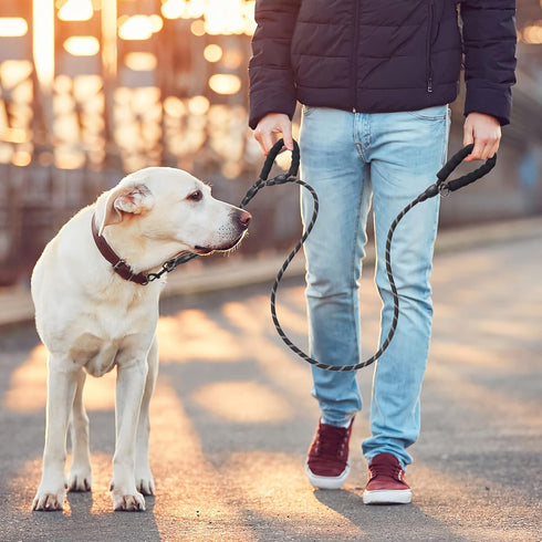 Dog Leash Traffic Double Padded Handles, Comfortable Reflective 2 Handle Strong Leashes Extra Training Control and Walking Lead for Heavy Duty Med...