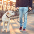 Dog Leash Traffic Double Padded Handles, Comfortable Reflective 2 Handle Strong Leashes Extra Training Control and Walking Lead for Heavy Duty Med...
