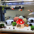 Saim Aquarium Mushroom House, Ceramic Mushroom Cave, Fish Tank Landscape Aquarium Hideout Hideaway Spawning Cave for Betta Fish, Shrimp Crab to Re...