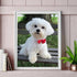 IPISSOI Maltese Dog DIY 5D Diamond Art Painting Kit for Adults Beginners, Dog Animal Diamond Painting, Animal DIY Diamond Arts Craft for Home Wall...