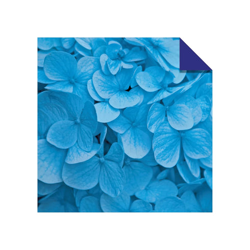 Origami Paper 200 sheets Nature Patterns 6" (15 cm): Tuttle Origami Paper: High-Quality Double Sided Origami Sheets Printed with 12 Different Desi...