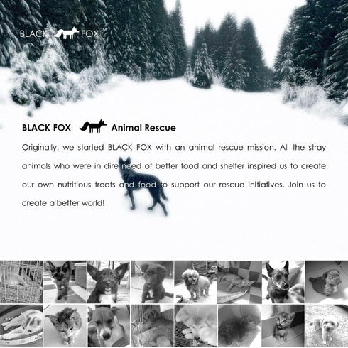 BLACK FOX Freeze-Dried Gluten-Free Biscuits for Dogs & Cats | Chicken & Salmon | 10 Large Treats, Limited Ingredients, Raw, Healthy, Human Grade...