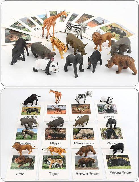Small Montessori Animal Figures with Flash Cards, Realistic Animal Figurines Toys, Montessori Materials Homeschool Preschool Science Educational M...