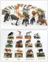 Small Montessori Animal Figures with Flash Cards, Realistic Animal Figurines Toys, Montessori Materials Homeschool Preschool Science Educational M...