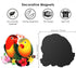 Parrot Magnets for Fridge Decorative Refrigerator Magnets Locker Magnets for Office Cabinets Whiteboards Classroom......