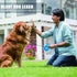 Pet Leash for Pet,10 FT Pet Walking Leash with Anti-Slip Handle,Strong Nylon Tape,Tangle-Free,One-Handed One Button Lock & Release,Suitable for Sm...