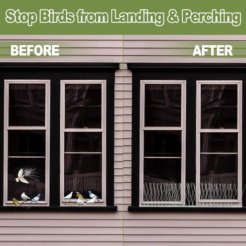 Bird Spikes Pigeon Spikes : 3.2ft Anti Bird Spikes for Outside to Keep Birds Away, Cat Spikes, Fence Spikes, Bird Nest Preventer, Stainless Steel ...