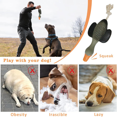 Interactive Dog Toys for Medium Small Breed, Soft Rubber Squeaky Dog Toys for Teething and Training...