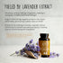 Happy Healthy Hippie Stress Relief Supplement - Lavender Pills | Promotes Calmness Body & Mind | Quick Acting | Magnesium, Lemon Balm | Relaxation...