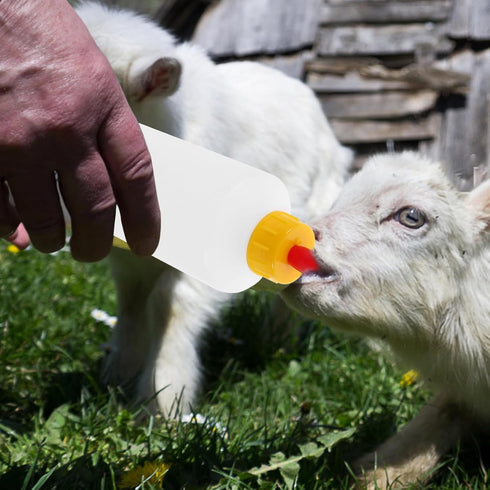 DOITOOL Goat and Bottles Set, 5PCS Small Animal Milk Drink and 400 ml Lamb Feeding Bottle Kit for Feeding Sheep Goat Lamb Puppy...