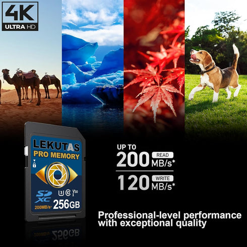 256GB SDXC UHS-I Memory Card - Up to 200MB/s, C10, U3, V30, 4K UHD, Full-HD & 4K Video SD Card for Canon Nikon Sony Pentax Kodak Olympus Panasonic...