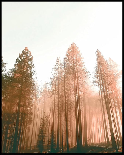 Posterizer 1 pcs-beautiful nature scene with evergreen trees and mountains 5-Landscape & Nature Art-Gift for Art Lovers-Decor for Home & Office- u...