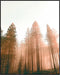 Posterizer 1 pcs-beautiful nature scene with evergreen trees and mountains 5-Landscape & Nature Art-Gift for Art Lovers-Decor for Home & Office- u...