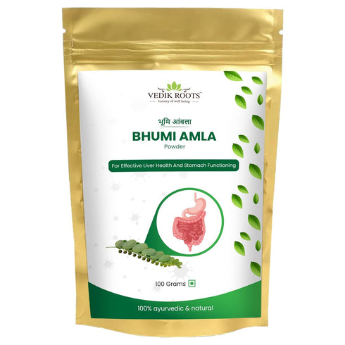 Organic Bhumi Amla Powder - Rich in Antioxidant Vitamin C - Supports healthy immune function 100Gm (Pack of 1)...