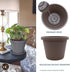 The HC Companies 10 Inch Round Prima Planter - Plastic Plant Pot with Rolled Rim for Indoor Outdoor Plants Flowers Herbs, Cappuccino...