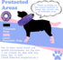 BARKLESS Inflatable Dog Cone, Soft Cone for Large Medium Dogs after Surgery, Cute Dog Donut Collar Stops Licking and Touching Stitches and Wounds,...