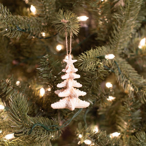 Midwest Starfish Tree Hanging Christmas Ornament 3.7 inch Cream...