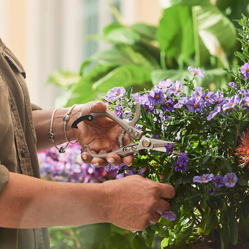 Pruning Shears for Gardening - The Perfect Garden Tools for Gardening and Trim Sphagnum Moss, Bonsai, Herb and Aero Garden - Weed Accessories for ...