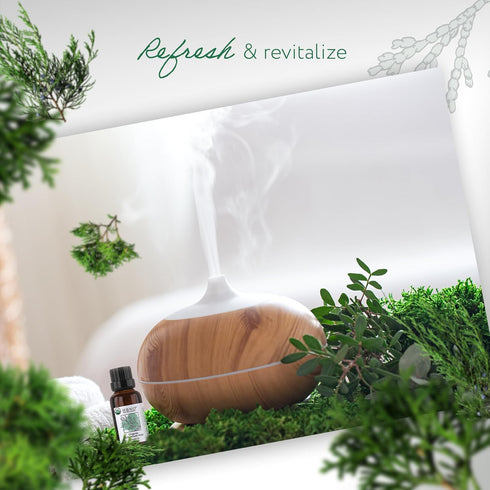 HBNO® California Bottled Organic Cedarwood Essential Oil 1 fl oz (30ml) - USDA Certified Organic Cedarwood Essential Oil for Aromatherapy, Soap Ma...