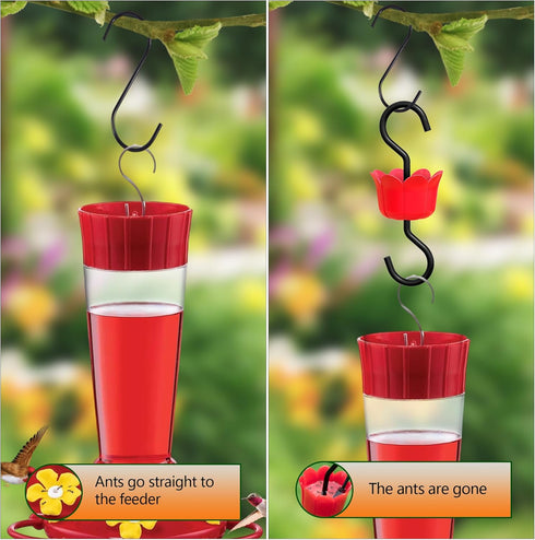 Hummingbird Feeder Insect_Guard | Flower Shape Ant_Moat for Wildlife Feeder Accessory Hooks - Plastics Hanging Ant_Traps for Patio Lawn Garden Out...
