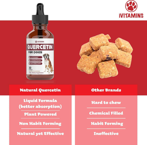 Quercetin for Dogs | Dog Allergy Relief | Quercetin for Dogs Allergies | Dog Allergy | Quercetin | Dog Allergy Support | Quercetin Dog | Dog Aller...