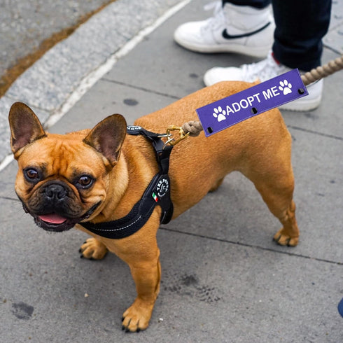 Rescue Dog Leash Sleeve Adopt Me Dog Leash Wrap Pet Adoption Patch (Adopt Me)...