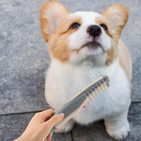 Electric Pet Grooming Comb -Remove Knots and Tangles...