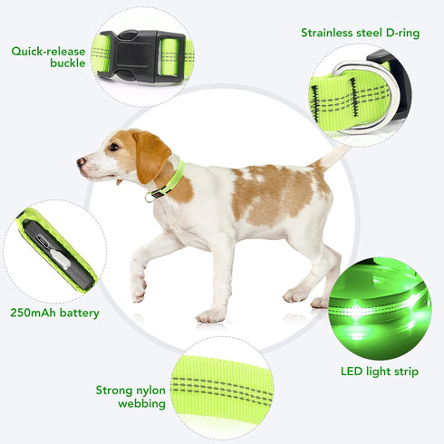 Light Up Dog Collars - Rechargeable LED Dog Collar - Reflective Pet Collar - Adjustable Lighted Dog Collar for Medium Dogs (Green, Medium Collar)...