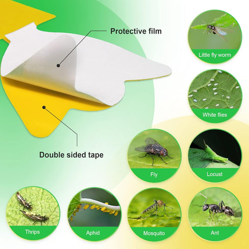36 Pcs Combo Sticky Traps for Fungus Gnat (Plants), Flying Insect, Whitefly and Fly, Yellow Sticky Insect Catcher Traps for Indoor/Outdoor, Kitche...