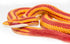 Safari Ltd.Corn Snake Figurine - Lifelike 5.25" Model Figure - Educational Toy for Boys, Girls, and Kids Ages 3+...