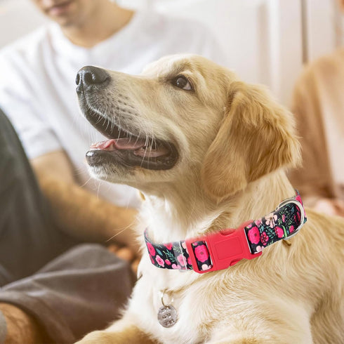 Girl Dog Collar with Red Flowers, Cut Female Dog Collar with Quick Release Buckle & Adjustable Comfy Pet Collar for Small Medium Large XL Dogs (Re...