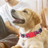 Girl Dog Collar with Red Flowers, Cut Female Dog Collar with Quick Release Buckle & Adjustable Comfy Pet Collar for Small Medium Large XL Dogs (Re...