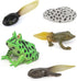 Fantarea Frog Animal Life Cycle Model Figure 5 PCS Horned Frog Growth Model Classroom Accessories Party Decoration Educational Development Toys fo...