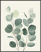 Posterizer 1 pcs-plant leaves-Chic Dainty art for plant lovers 12-Floral & Botanical Art-Workplace & Office Art-Living Room Bedroom Decor- unframe...