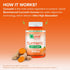 Qunol Zero Sugar Turmeric Gummies, Gummy with 500mg Turmeric Curcumin, Joint Support Supplement, Ultra High Absorption Tumeric Curcumin, Vegetaria...