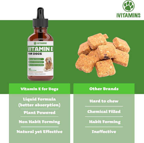 Vitamin E for Dogs | Vitamin E Dog | Vitamin E for Dog | Dog Vitamins E | Vitamin E Canine | Vitamin E Supplement for Dogs | Vitamin E Oil Dog | D...