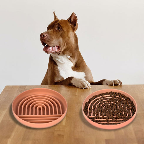 Slow Feeder Dog Bowl,Silicone Puzzle Bowl & Lick Mat,Preventing Choking Dog Bowls,Slow Eating,Healthy Eating,Anti Gulping Slow Feeding Dog Bowl,Di...