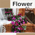 Miracliy 5Pcs 41FT Purple Flower Garland Artificial Rose Arch Vines Fake Spring Floral Garland for Flower Wall Backdrop Wedding Mothers Day Garden...