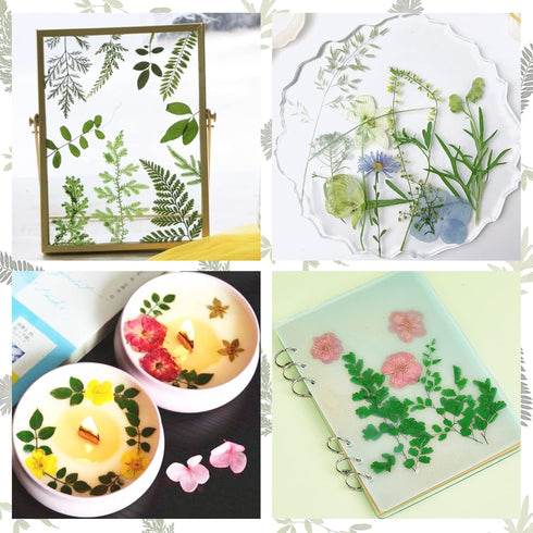 LUCISKY 84 Pcs Dried Leaves Pressed Flowers for Resin Molds, Real Natural Assorted Dry Greenery for Leaf Craft DIY, Jewelry Making, Decoration Sup...