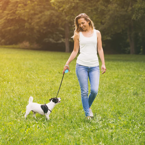 Retractable Dog Leash for Small and Medium Dogs up to 22lbs with 9.8ft Strong Nylon Tape, Hands Free, Portable and Lightweight Leash with Wrist St...