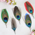 Feather Brooch for Suit Handmade Colorful Feather Lapel Pin Pack of 10...