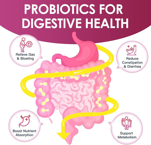 Probiotics for Women Digestive Health, Vaginal probiotics 120 Billion CFU 31 Strains with Digestive Enzymes & Prebiotics & D Mannose & Cranberry f...