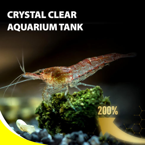 Purify Series for Algae Wafers Pleco Food, Spirulina Fish Food for Snails, Plecos, Algae Eaters and Bottom Feeders, Color Enhancing, All Natural I...