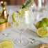Viski Raye Angled Stemmed Gin and Tonic Glasses Set of 2 - Premium Crystal Clear Cocktail Gin Glasses for Gin Lovers Gift Set - 14oz...