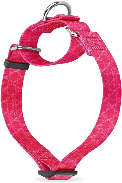 Puppy Dog Collar Floral Print Martingale Collar No Pull Pet Collar, Heavy Duty Adjustable Dog Collar, Small, Neck 10 Inch -15 Inch, Elegant Flower...