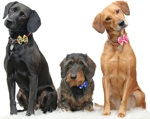 40PCS Christmas Dog Bows Cute Puppy Dog Small Bowknot Hair Bows with Rubber Bands Small Dog Hair Bowknot Pet Hair Accessories Pet Grooming Accesso...