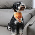 MR. CHUBBYFACE Fall Orange Plaid Dog Bandanas Reversible Triangle Bibs Scarf Accessories for Dogs Cats Pets...