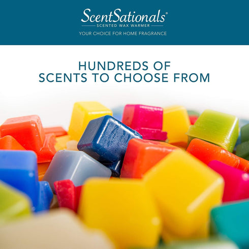 Scentsationals Wax Melts, Wax Cubes Strong Scent - Honeysuckle Pineapple - Long Lasting Scented Melts for Warmer, 10oz (24-Cubes)...
