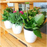 5.2“ Self Watering Planter White Flower Pot, 3 Pcs Medium Planter Pot, Mini Plant Pot, for All Plants, Herbs, African Violets, Succulents, Flowers...
