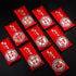 12 Pieces Red Envelopes,Money Envelopes,Cash Envelopes,Chinese Element Spring Festival Pocket Money Lucky Hong Bao For Birthday Christmas,New Year...